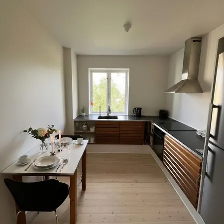 Cosy Apartmán Odense